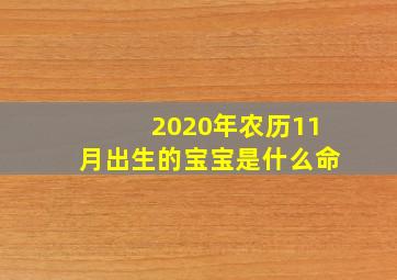 2020年农历11月出生的宝宝是什么命