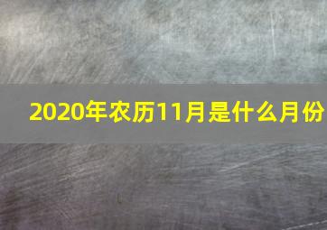 2020年农历11月是什么月份