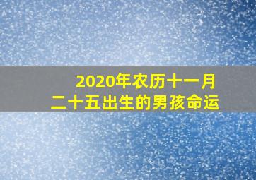 2020年农历十一月二十五出生的男孩命运