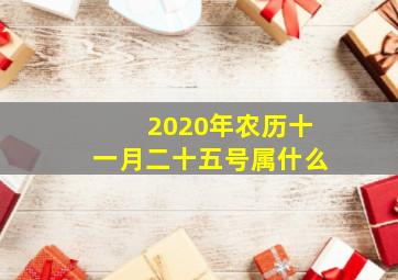 2020年农历十一月二十五号属什么