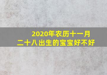 2020年农历十一月二十八出生的宝宝好不好