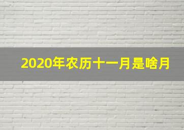 2020年农历十一月是啥月