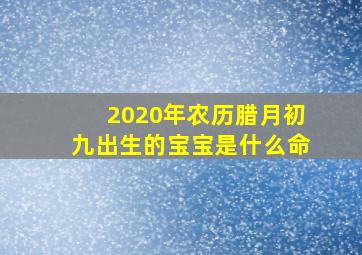 2020年农历腊月初九出生的宝宝是什么命