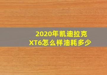 2020年凯迪拉克XT6怎么样油耗多少