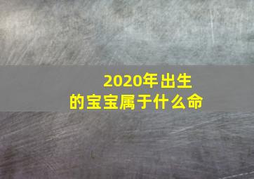 2020年出生的宝宝属于什么命