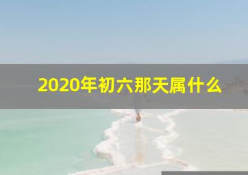 2020年初六那天属什么