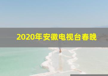 2020年安徽电视台春晚