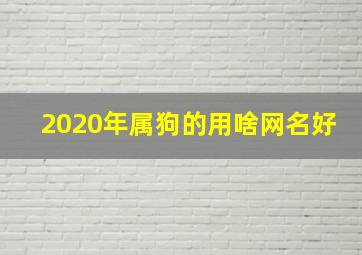 2020年属狗的用啥网名好