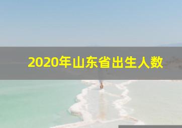 2020年山东省出生人数