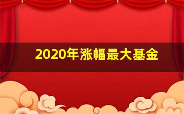 2020年涨幅最大基金