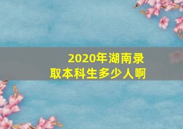 2020年湖南录取本科生多少人啊