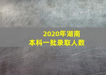 2020年湖南本科一批录取人数