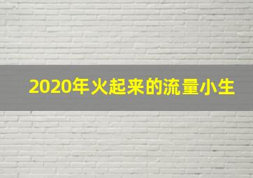 2020年火起来的流量小生