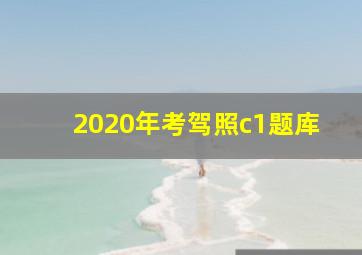 2020年考驾照c1题库