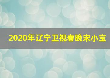 2020年辽宁卫视春晚宋小宝