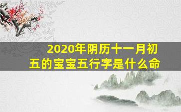 2020年阴历十一月初五的宝宝五行字是什么命