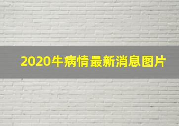 2020牛病情最新消息图片