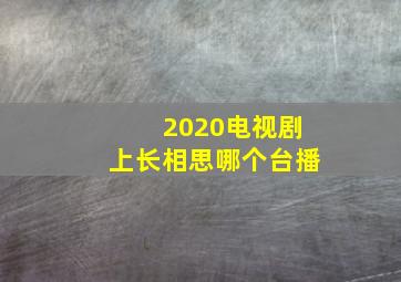 2020电视剧上长相思哪个台播