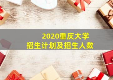 2020重庆大学招生计划及招生人数