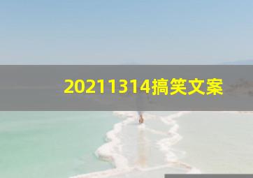 20211314搞笑文案