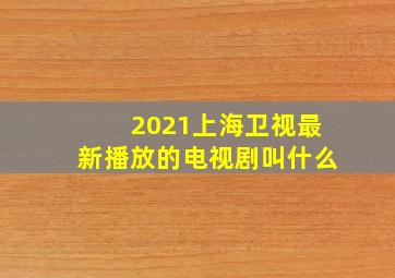 2021上海卫视最新播放的电视剧叫什么