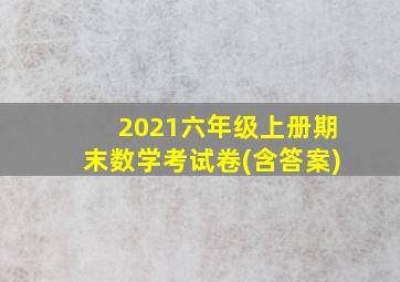 2021六年级上册期末数学考试卷(含答案)