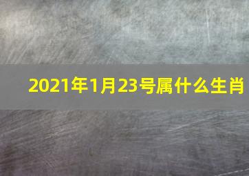 2021年1月23号属什么生肖