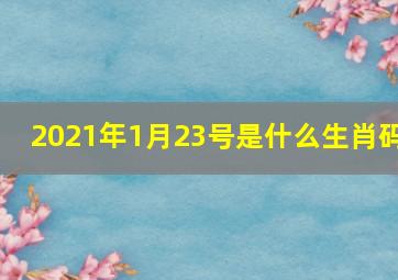 2021年1月23号是什么生肖码