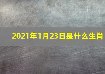 2021年1月23日是什么生肖