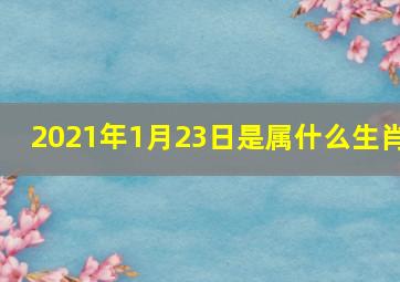 2021年1月23日是属什么生肖