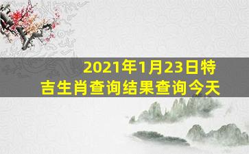 2021年1月23日特吉生肖查询结果查询今天