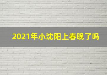 2021年小沈阳上春晚了吗