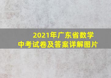 2021年广东省数学中考试卷及答案详解图片