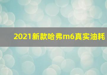 2021新款哈弗m6真实油耗