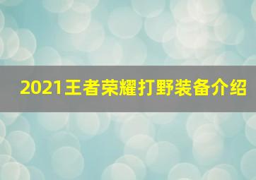 2021王者荣耀打野装备介绍