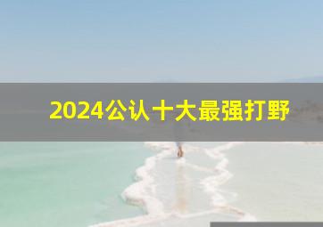 2024公认十大最强打野