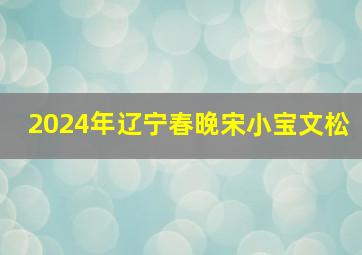 2024年辽宁春晚宋小宝文松