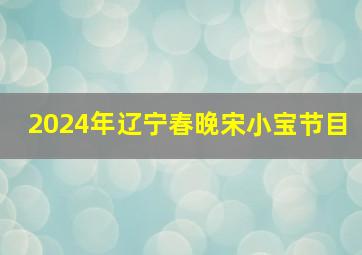 2024年辽宁春晚宋小宝节目