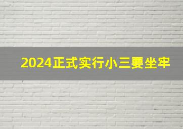 2024正式实行小三要坐牢