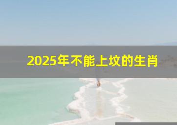 2025年不能上坟的生肖