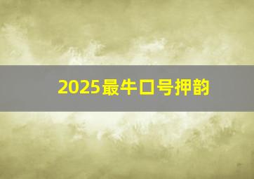 2025最牛口号押韵