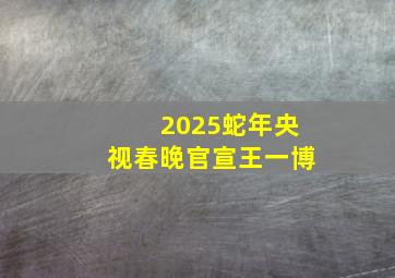 2025蛇年央视春晚官宣王一博