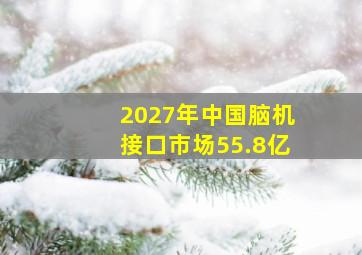 2027年中国脑机接口市场55.8亿