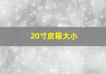 20寸皮箱大小