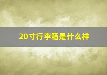 20寸行李箱是什么样