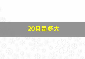 20目是多大