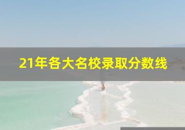 21年各大名校录取分数线