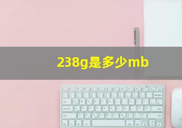 238g是多少mb