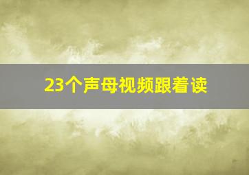 23个声母视频跟着读