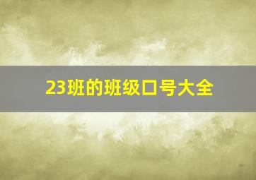 23班的班级口号大全